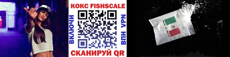 Кокаин FishScale  где можно купить   Новосиль 