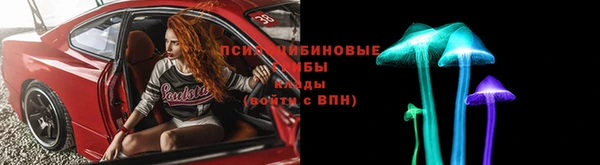 наркотики Бородино