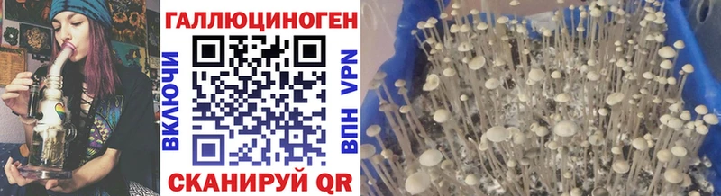 гидра ссылка  купить наркотики цена  площадка телеграм  Галлюциногенные грибы прущие грибы  Новосиль 