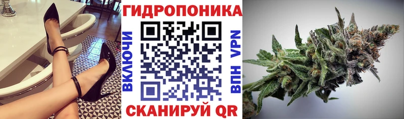 закладки  Новосиль  Шишки марихуана SATIVA & INDICA 
